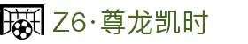 Z6·尊龙凯时「中国」官方网站